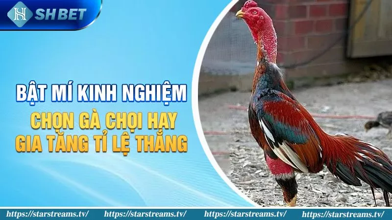 Khả năng tương thích với thiết bị di động Eu9 - Eu9