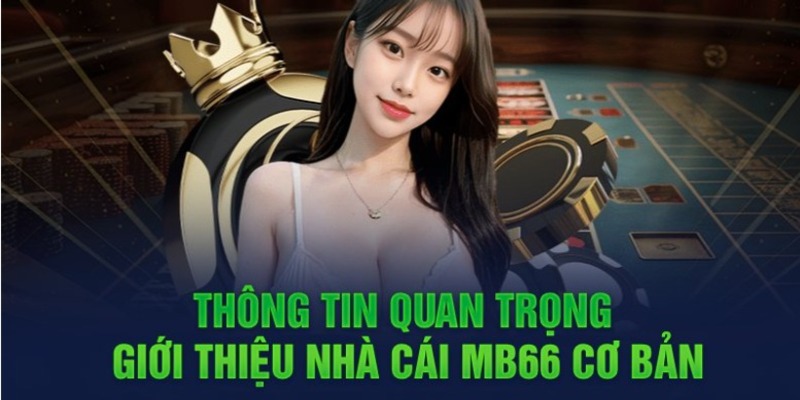 Sản phẩm này có thể được mua trên các trang web trò chơi giải trí được xếp hạng Rik88 - Rik88