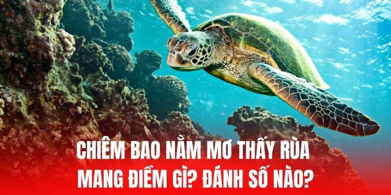Tôi cần làm gì để đăng ký làm thành viên Mig88 và nhận 90000 điểm cá cược miễn phí? - Mig88