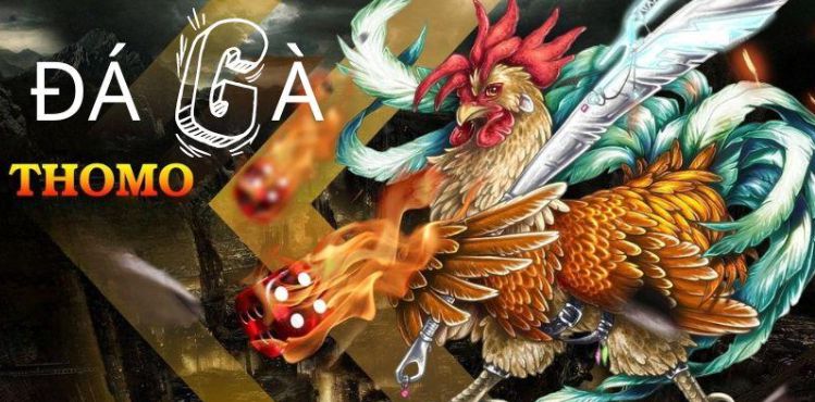 Tôi có thể nạp tiền vào thẻ 68Win một cách nhanh chóng và dễ dàng bằng cách nào? - 68Win