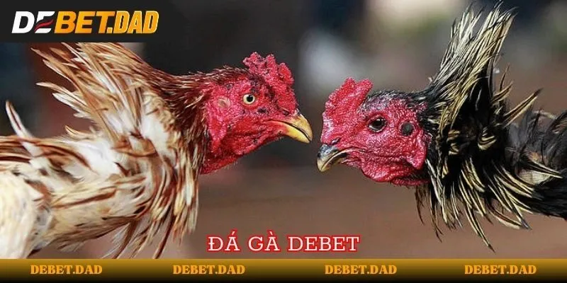 Liệu cổng game 88Clb có phải là một trò lừa đảo đối với người chơi cá cược? - 88Clb