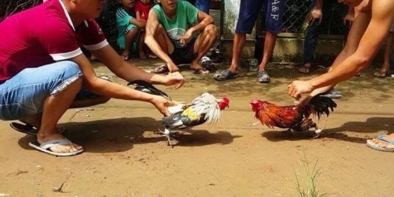 Hãy chú ý đến tỷ lệ cược từ công ty game Ggwin - Ggwin