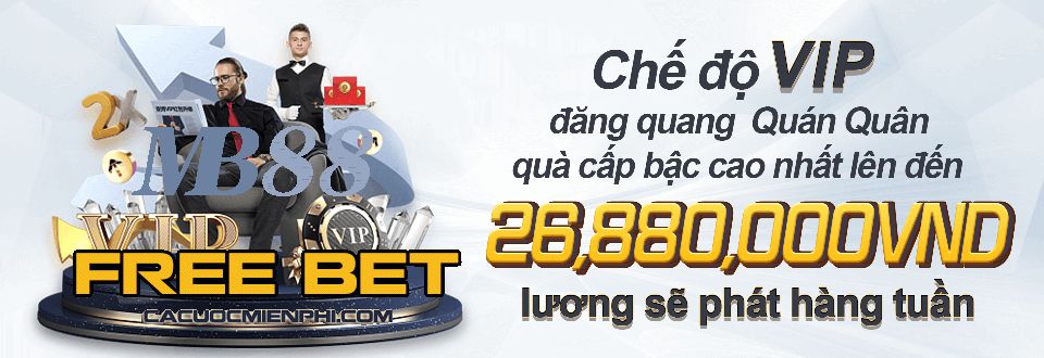 Cần lưu ý những điểm sau đây khi trở thành nhà phân phối 23Vip - 23Vip