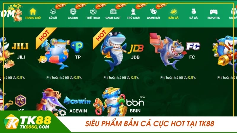 Tổng quan chi tiết nhất của Vesovn - Vesovn