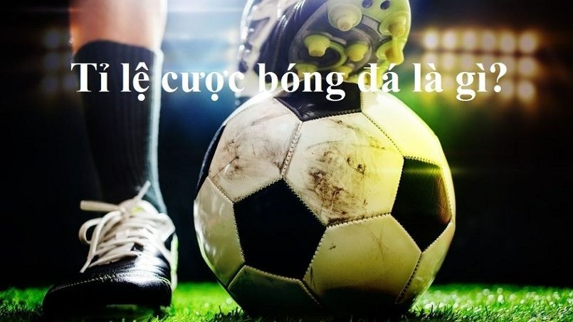 Tìm thời điểm tốt nhất để kiểm tra tỷ lệ cược từ các công ty cá cược được xếp hạng Pg88 - Pg88