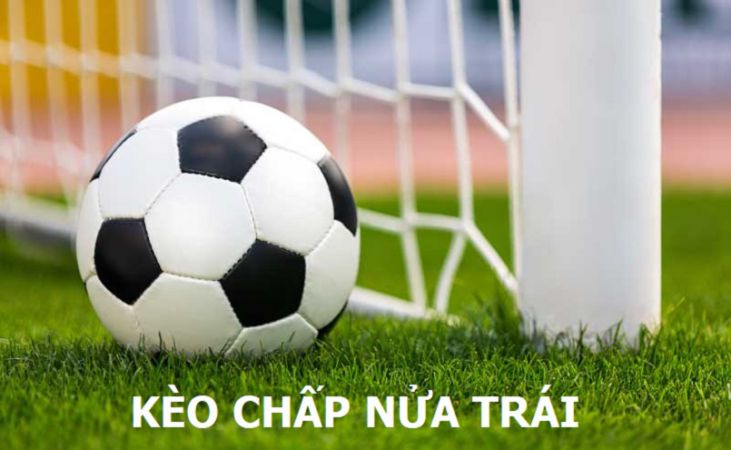 Câu hỏi: Okking có phải là một trò lừa đảo không? - Okking