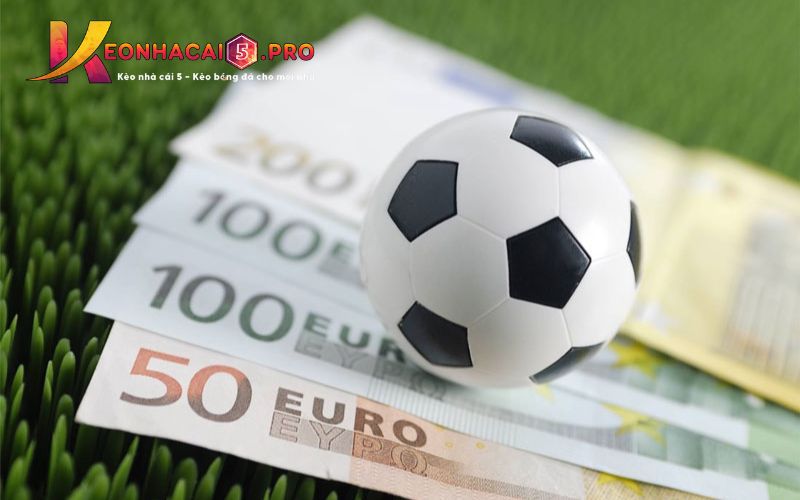Đăng ký cấp độ Vz99 2026: 2 phút | Phần thưởng: 1000 Reais | Đã xác minh KYC - Vz99