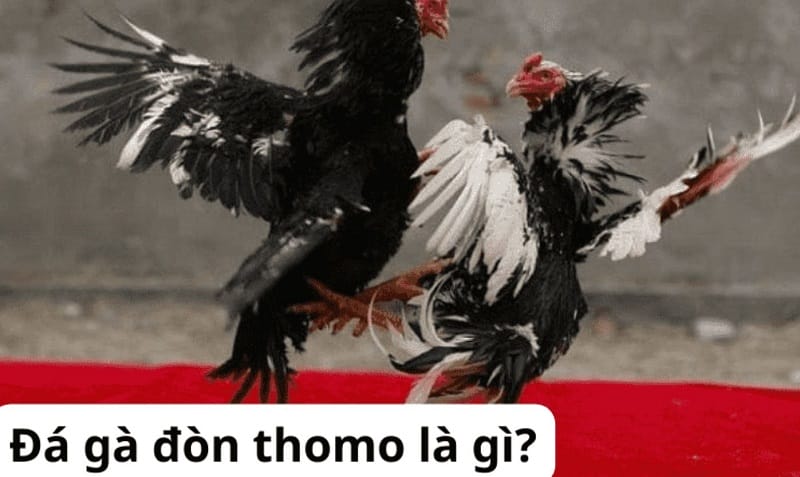Gnbet cung cấp bao nhiêu trò chơi? - Gnbet