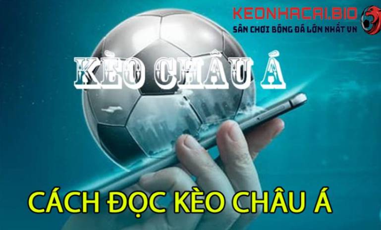 Nhấp vào liên kết để đăng ký và đăng nhập vào tài khoản trang web Oxbet Games của bạn - Oxbet