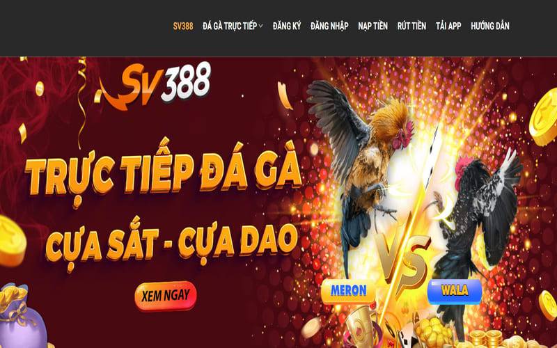 Tôi có thể nhận được phần thưởng khuyến mãi 100000 điểm Mec68 bằng cách nào? - Mec68
