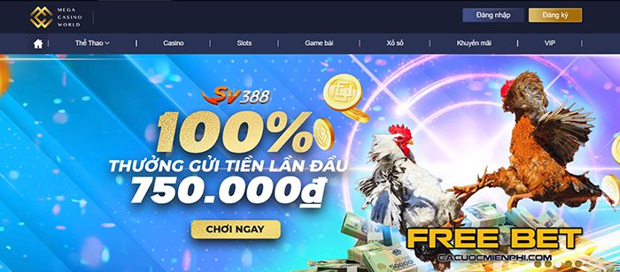 Danh mục sản phẩm D9bet - D9bet