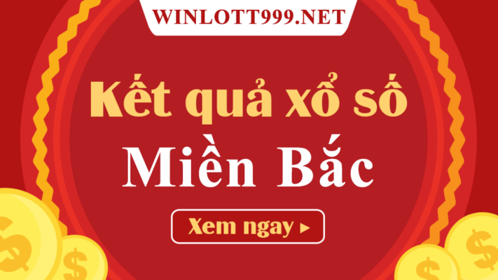 Lý do nên chọn cá cược bóng chuyền cấp độ 7Ball - 7Ball