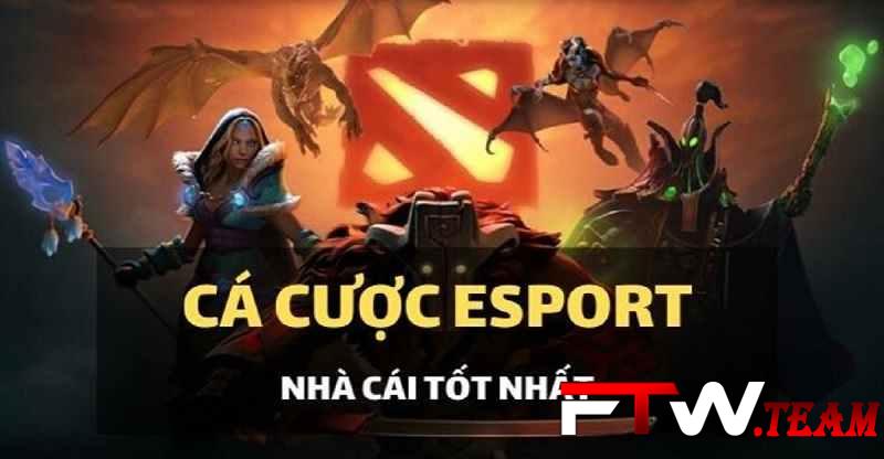 Tôi nên làm gì nếu không nhận được 68000 đô la từ trang web Vb68 Games? - Vb68