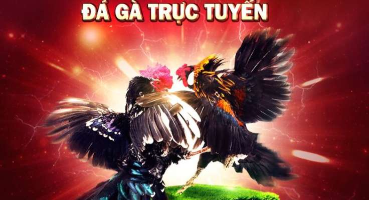 Ưu điểm của những đặc điểm then chốt của một công ty game tầm cỡ Cmd368 - Cmd368