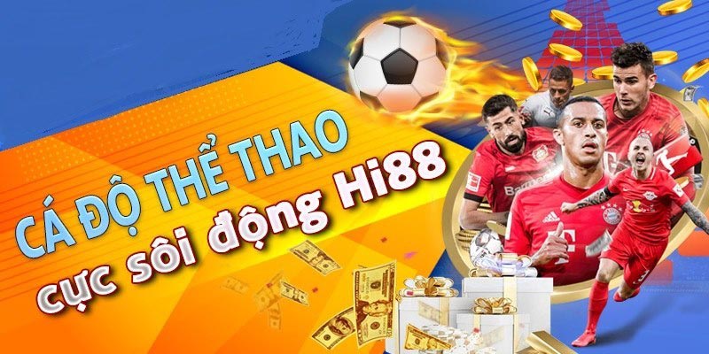 33King cam kết cung cấp nhiều lựa chọn cá cược đa dạng - 33King